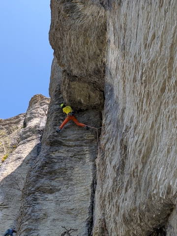 0f3abaa8 0f29 4be9 b000 bbe2b7e4c3b7 2